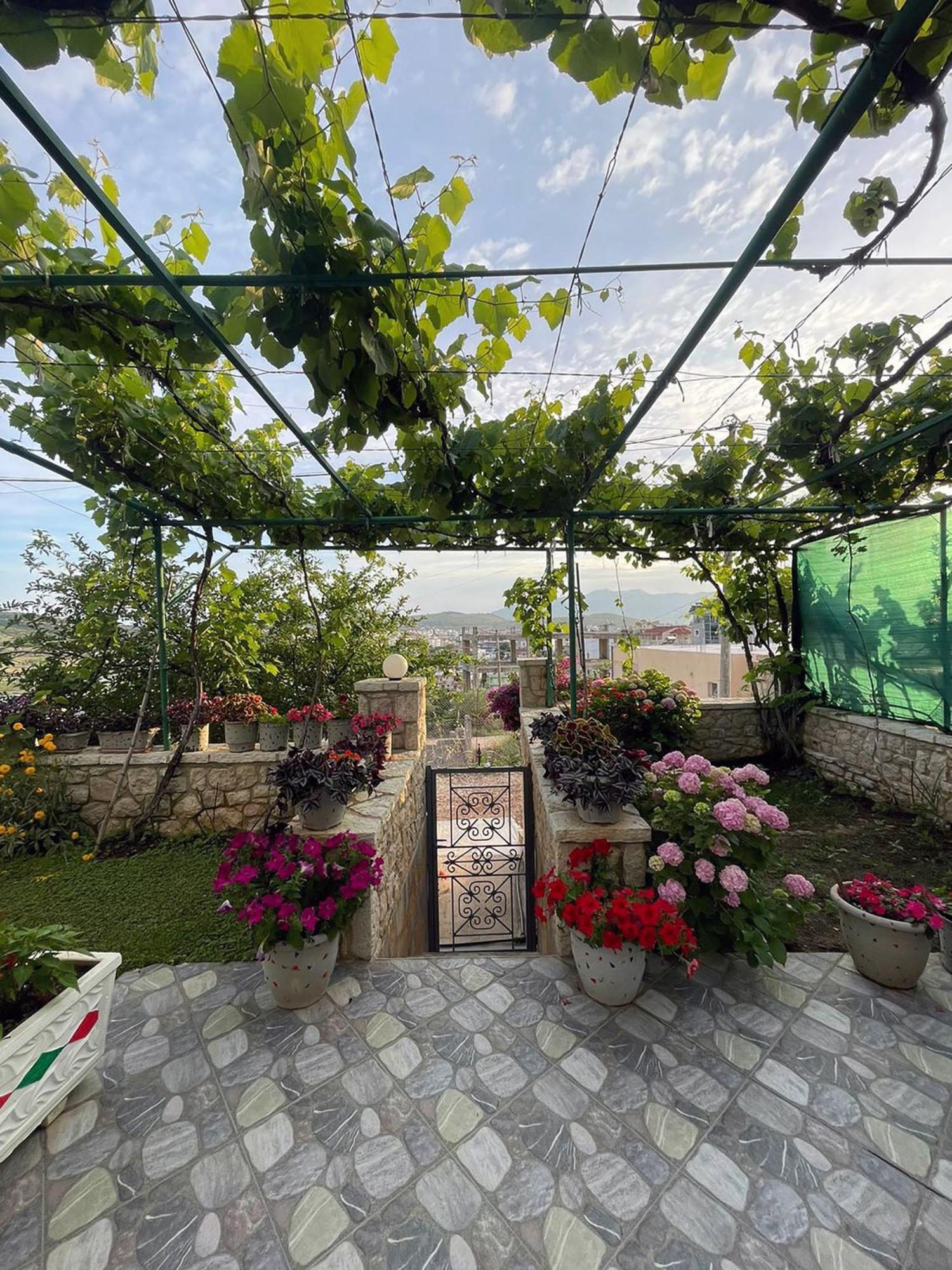 Green Garden Villa Ксамил Екстериор снимка